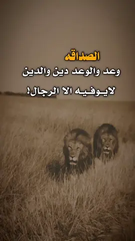الصداقه وعد 👌✋ #مساء_الخير #عبارات #عبارات #اكسبلور 