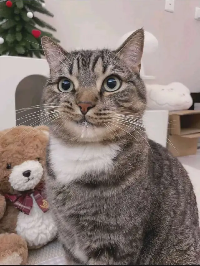 #sakuraharuno #narutoshippuden #animepicture #fypツ 