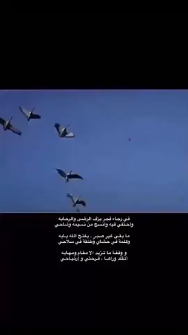 #رهو #كرك #مارس #سبتمبر #اكسبلور #رمي #تواريخ #هجره #الصيد 