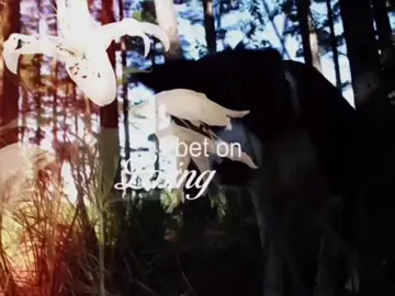 || I bet on losing dogs- Mitski || #musicedit #mitski #ibetonlosingdogs #mitskiedit #fyp #soundviral #bratlyrics 