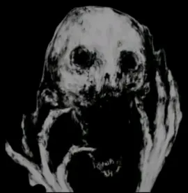 #scary #darkcore #night #edit