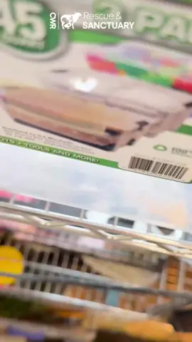 Meet our Patient of the Week — this little budgie has been with us for over a month after being surrendered for self-harming and pulling out almost all of his tail feathers. His previous owners had taken him to see a vet, but they couldn’t keep up with the ongoing treatments he needed. Birds can pluck their feathers for many reasons, including stress, boredom, loneliness, poor diet, or underlying medical issues. In his case, we’ve put a tiny cone around his neck to prevent further damage while we address the root cause. We’re not giving up on this sweet boy, but his medical care cost is already at $1,200 and still climbing. Every gift helps us continue his treatment and get him on the path to recovery. Donate and learn more at cwrescue.org/donate Venmo- @cwrescue Cashapp- $cwrescue PayPal- @waterfowlrescue Patreon- patreon.com/waterfowlrescue