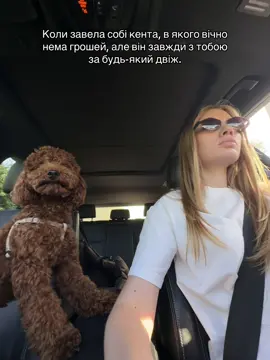 #рекомендації #рек #життя #тойпудель #кент #гроші #ідея 