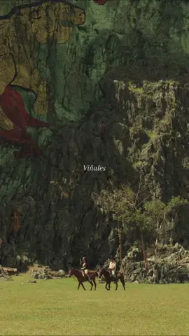 Emerald hills, tobacco fields, skies that go on forever 💚 Welcome to Viñales Valley, Cuba’s natural masterpiece 🇨🇺❤️‍🔥  #cuba #vinales #HiddenGems #fyppp #Nature #Eco 