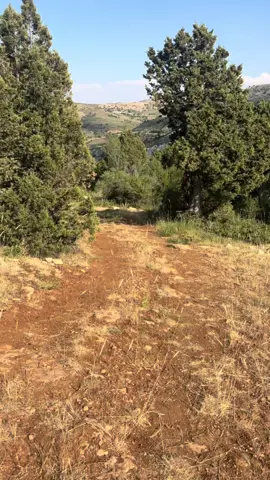 سبحان الله العظيم ❤️… #تلاوات_قرآنية #سعد_الغامدي #صدقة_جارية #muslim   #جرود_مشمش_عكار #لبنان🇱🇧  #nature #explore #100kviews 