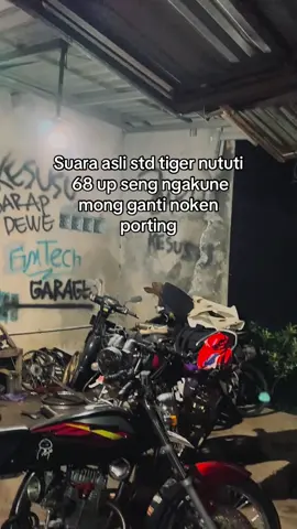 Masih bertahan std tiger diera gempuran 68 up#fypシ゚ #glgank🤙 #herex 