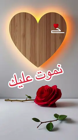 ✍️كتابة اسماء على فيديوهات ✍️##كتابة_اسماء_حسب_الطلب #تصميمي #تصميم_فيديوهات🎶🎤🎬 #fadelhamrch1983 #viral_video #fyp #disney #you #designer  @Lina ✨🦋  @Chahinez sihem younsi ✅  @zouba dani 