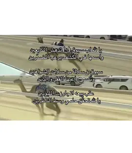 #قصايد_شعر #هجن_الرياسة #هجن_السعودية هجن 🤍🤍#حركات_اكسبلور_فولو_لايك_متابعه🙏 