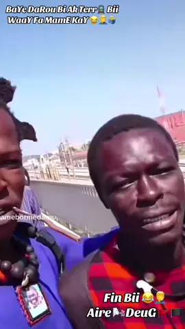 #chicory😂😂🤦‍♂️🚩🏴