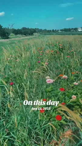 #onthisday #nature #flowers #throwback 