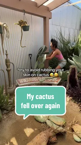 Cactus garden maintence is needed weekly 🌵🤘🏽 my prickly pear cactus fell over so I had to propagate it and replant! #pricklypear #cactus 