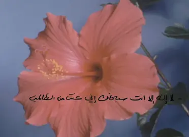 قال رسولُ الله ﷺ  دعوةُ ذي النُّونِ إذ دعا وهو في بطنِ الحوتِ؛ لا إلهَ إلَّا أنتَ سُبحانَك إنِّي كنتُ من الظالمينَ،، فإنَّه لم يدعُ بها رجلٌ مسلمٌ في شيءٍ قطُّ إلَّا استجاب اللهُ له
