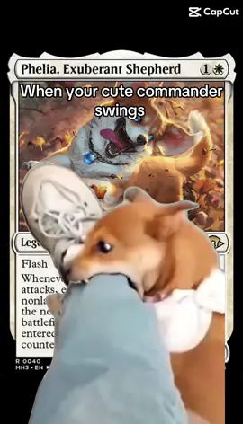 Don’t mind the cuteness #fyp #mtg #mtgcommunity #mtgcommander 