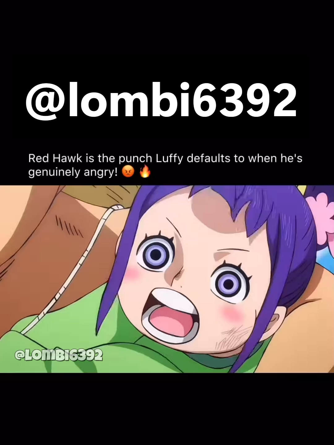 Red Hawk #fyp #tik_tok #fouryou #for #you #page #animefyp #peak #japan #shonen #animation #animefan #onepiece #onepieceedit #monkey #d #luffy