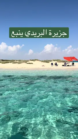 #نايف_الجراح #غوص #قروش #سكر_أعماق #قرش #غوص #تجربة_غوص #غواص_سعودي #مغامرة_بحرية #تحت_الماء #غوص_حر #غوص_تكنيكل #مدرب_غوص #لقطات_تحت_الماء #البحر_الأحمر #غوص_في_البحر #جزيرة_البريدي #جزيرة #ينبع #RedSea  #DiveTok #ScubaTok #SharkTok #DiveWithNaif #UnderwaterChallenge #OceanVibes #MarineLife #DeepSeaAdventure #FearVsAdventure #UnderwaterWorld #ScubaLife #DiveLife #DiveTrip #SharkDive #WreckDive #DiveDeep #DiveAdventure #DiveInstructor #ScubaDiving #NaifAljarrah #DiveNow #DiveAddict #DiveEpic #ScubaGear #DiveSpots #OceanAdventure