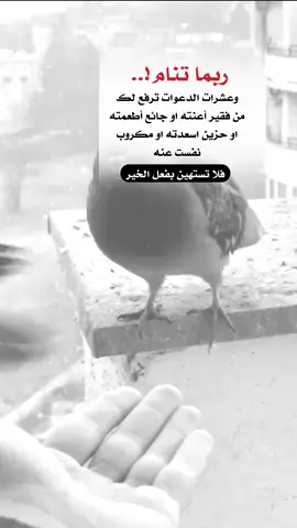 ربما تنام وعشرات الدعوات ترفع لك #اعادة_النشر🔃 #اكسبلورexplore #إيفان_الجيزانيه #لا_تستهين_بفعل_الخير 