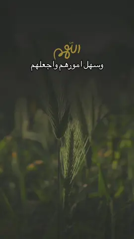 اللهم من نحب يارب 🤲🤍🤍