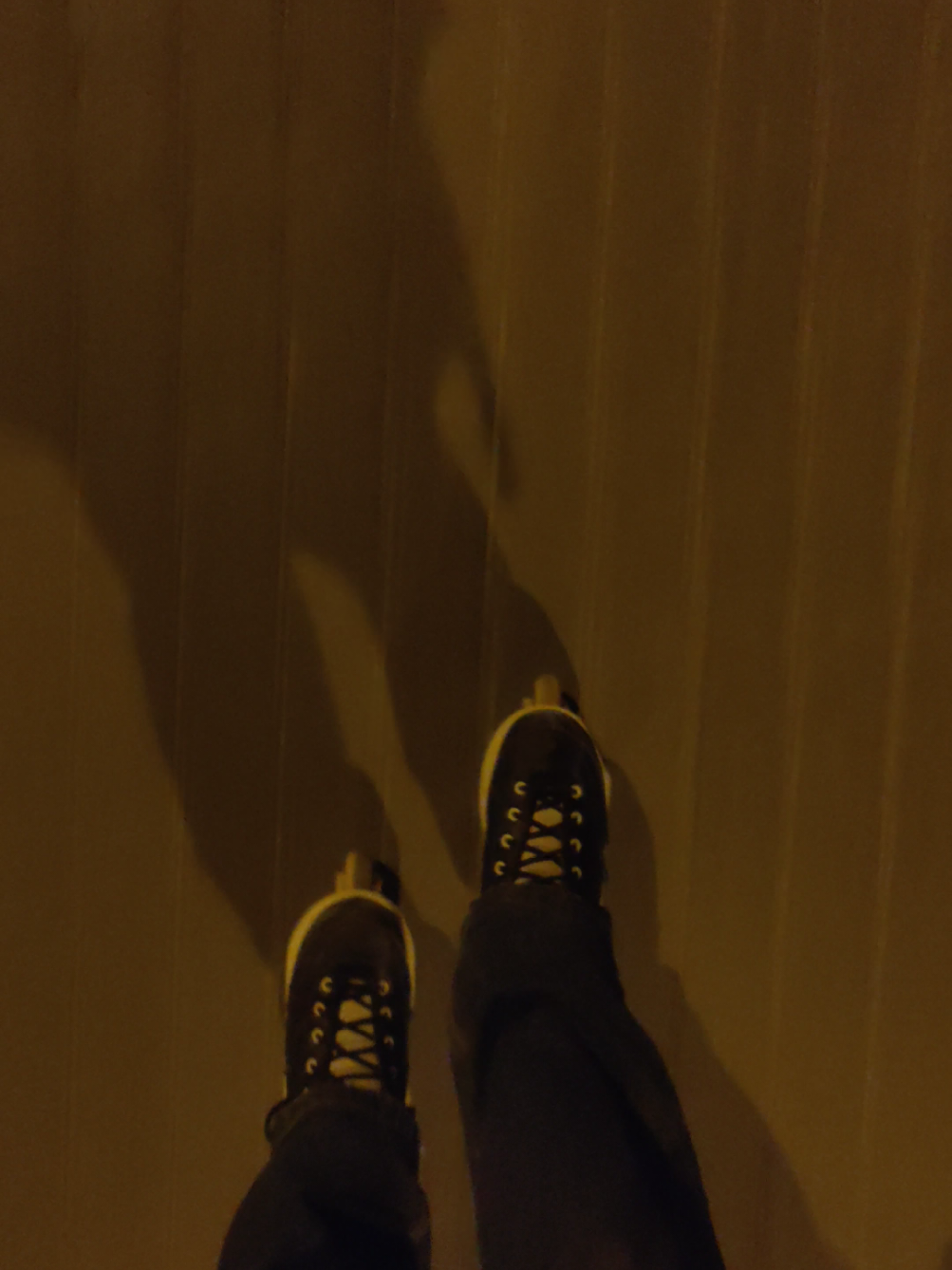 cameraman always survives 😛 #skating #tenagerslife #roller #fast 