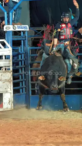 Moda boa. 🔥 #rodeio #rodeioemtouros #tourosderodeio #touro 