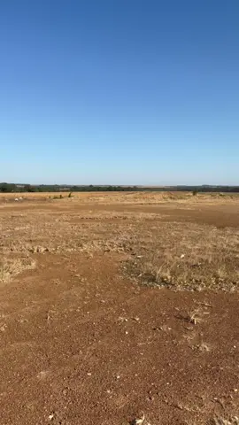 AviacaoAgricola #PilotoAgrícola #AviacaoBrasil #AgAviation #CropDuster #Flying #Aviation #PilotLife #Airplane #SkyHigh #Campo #Agro #AgroBrasil #Agricultura #Plantio #Colheita #Aviacao #AvGeek #AeroAgrícola #JetLife #LoveFlying #FlightLife #RunwayReady #SkyLovers #aviacaolovers✈️ 