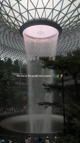 Pov: you are at the best airport in the world 🫧🌱✨🌷 📍Changi, Jewel #changgiairport✈️ #singapore #singaporeairport✈️🛫 #jewelsingapore🇸🇬 