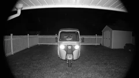 Hey, guys!!✌️ #hamsters #securtycamera #hamstersoftiktok #aivideo 