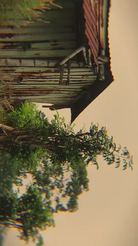 Are you okay...? Shoot on : Redmi Note 9 pro Lensa : Apexel 22x zoom #fffffffffffyyyyyyyyyyypppppppppppp #fyp #foryoupage