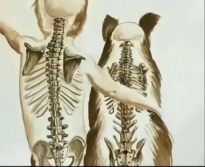 @بولعقاب ||BO alokap  #حمادي_الدرسي🤴🏻 #البيضاء_الجبل_الاخضر_مصر_طبرق #درنه_بنغازي_البيضاء_طبرق_ليبيا #بنغازي_طرابلس_ترهونه_رجمة_سرت_طبرق #شتاوي #شتاوي_وغناوي_علم_ع_الفاهق❤🔥 #اجدابيا_بنغازي_البيضاء_طبرق_ليبيا🔥❤️ #ليبيا_طرابلس_مصر_تونس_المغرب_الخليج 