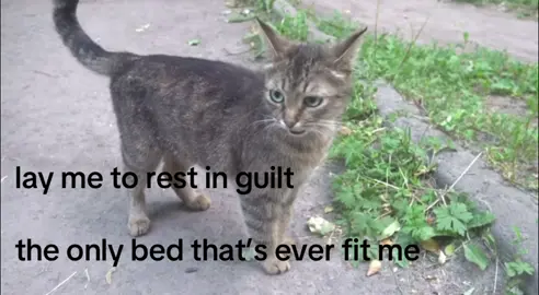 im sorry #yearning #guilt #robinseplut #godsquietchild 