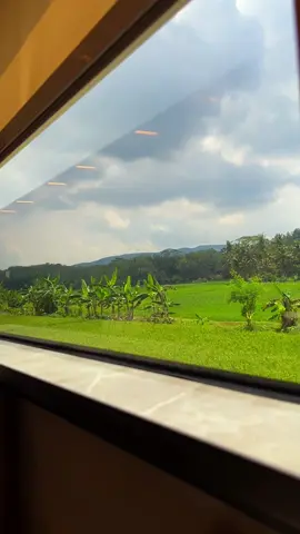 Tau kan harus gimana