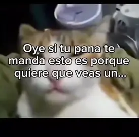 🎭 tutorial de cómo ponerse un chancla 😂🕴️#paratiiiiiiiiiiiiiiiiiiiiiiiiiiiiiii #humor #finocaballero💯 