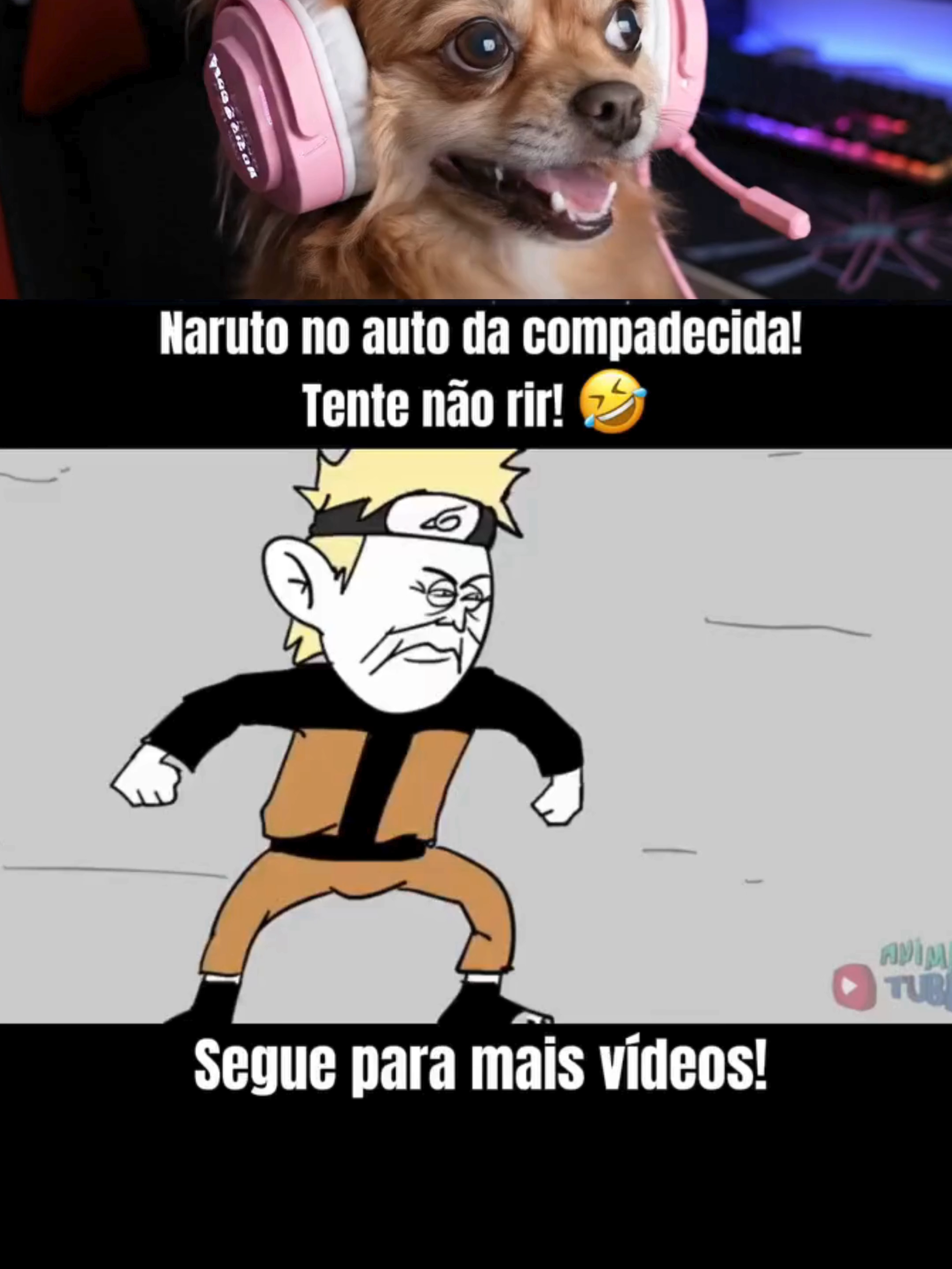 Créditos: AnimaTube#Lula#Padre#AnimaTube#brasil#reagindo#felcacortes#felcalive#fypageシ #rabisco