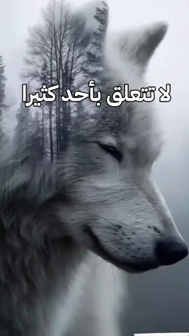 # لا تتعلق بأحد كثيرا  💔💔💔 # الله أكبر و الحمدلله 🤲🤲🤲