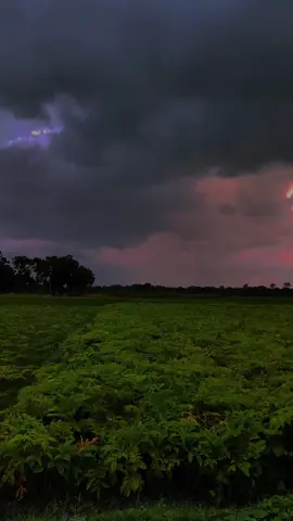 ফজর আর এশার নামাজ, যারা জাময়াতে আদায় করে তারা নিঃসন্দেহে মুনাফিক না। #tiktok #fyp #bangladesh🇧🇩 