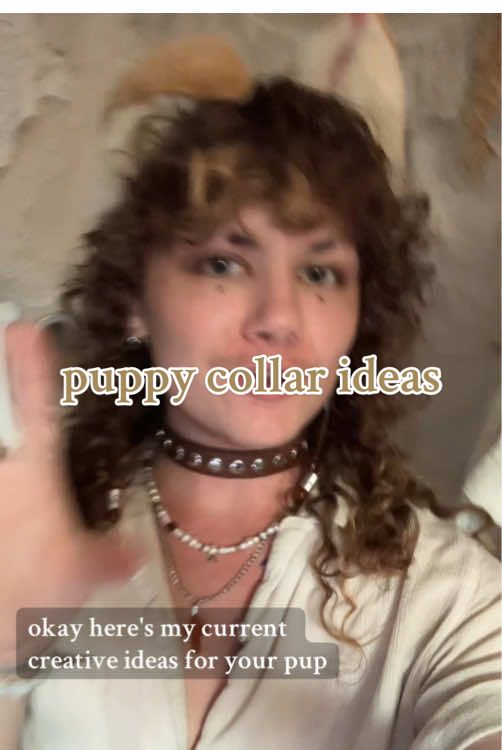 i’m talking about fashion and not your pet dog i’m sorry #greenscreen #queer #queertiktok #kemonomimi #puppyboy 