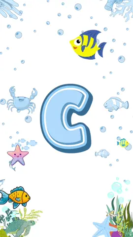 🎶✨ Yuk, ajak si kecil nyanyi lagu ABC sambil belajar huruf! Belajar mengenal abjad itu lebih seru kalau sambil bernyanyi, Mak. Dengan lagu ini, anak-anak bisa hafal huruf A sampai Z tanpa terasa. Cocok buat aktivitas belajar di rumah atau di kelas. 💡📚 💬 Mak, biasanya huruf apa yang paling cepat diingat anak? Tulis di kolom komentar, ya! 👇 #BelajarSambilBermain #LaguABC #BelajarHuruf #BelajarAbjad #AnakPintar #BelajarAnak #LaguAnak #BelajarHurufAbjad #AnakCerdas #BelajarMenyenangkan #EdukasiAnak #AnakBelajar #BelajarDiRumah #TK #PAUD #LaguBelajar #BelajarAnakUsiaDini #TipsParenting #BermainSambilBelajar #BelajarItuSeru #ABC #LaguAnakIndonesia #BelajarHurufABC #Calistung #mediabelajar #mediapembelajaran #fyp 