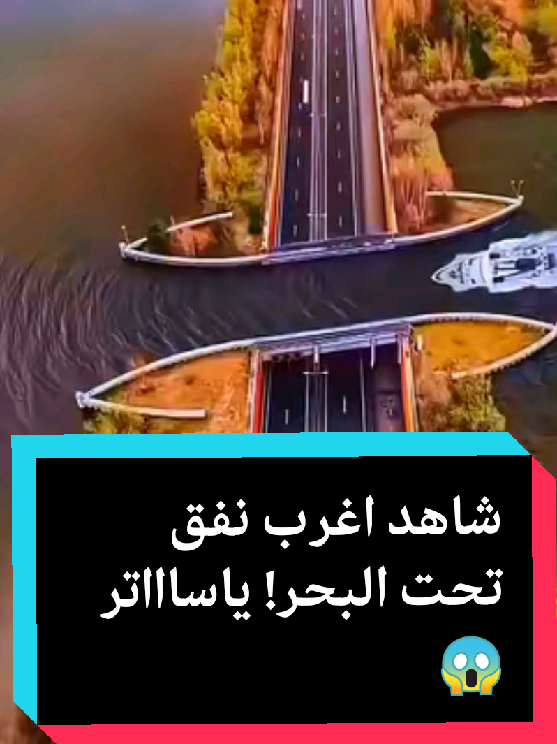 !أغرب نفق في الصين تحت البحر سيذهلك! يسيرون فيه يوميًا وكأنه فيلم خيال علمي #الصين #نفق #غرائب #أغرب_الأماكن #سفر #رحلات #سياحة #مغامرة #غرائب_العالم #اكتشاف #viral #china #tunnel #amazing #travel #trip #explore #adventure #strangestplaces #worldwonders #fyp #الشعب_الصيني_ماله_حل😂😂 #نفق #اغرب_الاماكن