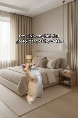 Dạ sếp gọi a🫡 #meme #cat 
