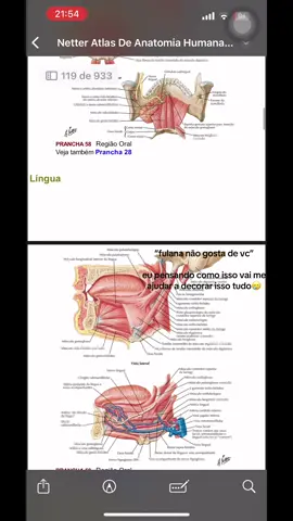 #foryou #areadasaude #anatomia #saude 