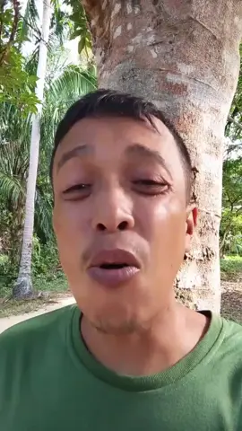 kisah awak meukat boh 100