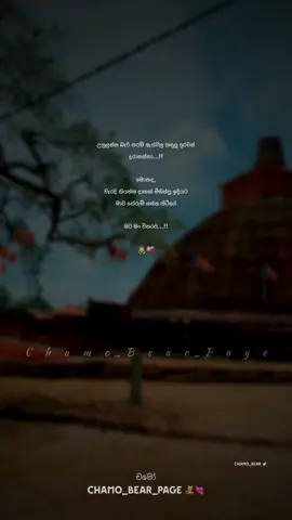 🙇❤️‍🩹 #chamo_bear #tiktok #trending #viral #foryou #foryoupage #fypシ #1milionaudition #sinhalaquotes #whatsappstatus #status #100kviews✔️ #srilanka 