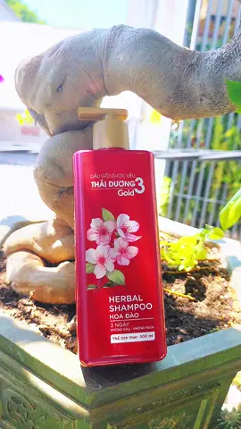 #LearnOnTikTok  #mebapreview   #daugoithaiduong3gold  #chiasekinhnghiem 