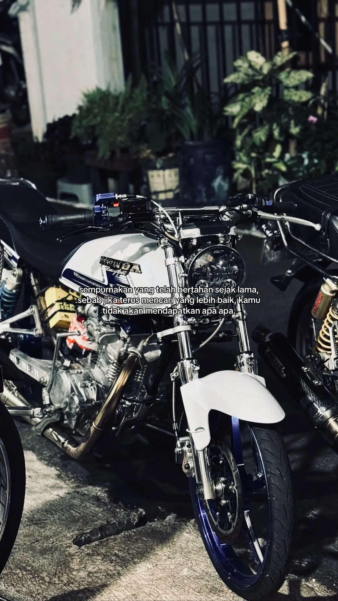 #hfdzxbean #herexaesthetic #glgank🤙 
