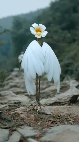 Fantasy Creature Design No.91：Sunpetal#flowers #bird 