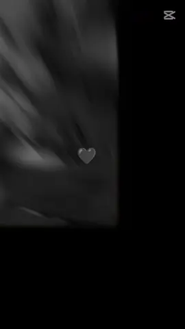 my friends 🫶🖤🌺🎀🌷✨