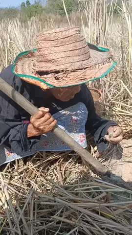 #คุณยายทองเบา #สาวน้อยบ้านทุ่งนา 