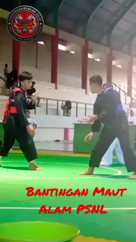 Nur Alamsyah. generasi yang hilang dengan ciri khas tangkapan dan bantingannya. 💪🐲 #pesilatindonesia #silat  #pesilat_muda #perguruansilat 