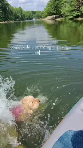 with the closet finally done and school and my photography about to start back up I thought it would be nice to go paddle boarding today!!The rest of my week is booked so stay tuned for new content!!#creatorsearchinsights #paddleboarding #dayvlog  #paddleboardessentials #lakeday 