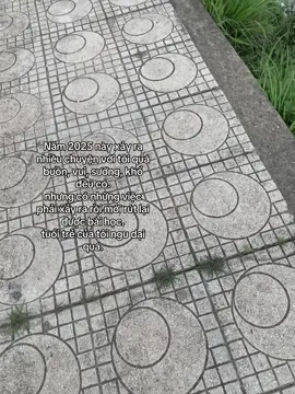 năm 2025 này xảy ra nhiều chuyện với tôi quá.#hinam9989🧸 #canhdep #tamtrang #xuhuong #caphay 