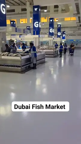 Dubai Fish Market 🐟  #dubai #uae 